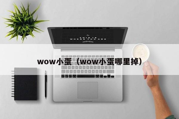 wow小蛋（wow小蛋哪里掉）