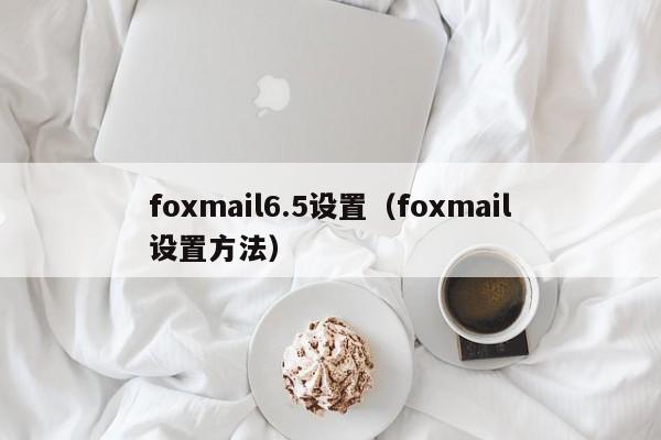 foxmail6.5设置（foxmail设置方法）