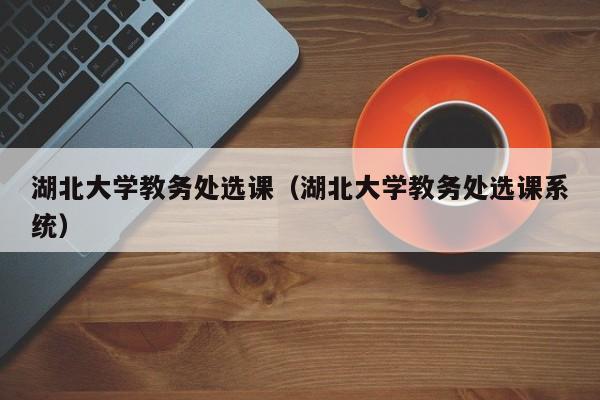 湖北大学教务处选课（湖北大学教务处选课系统）