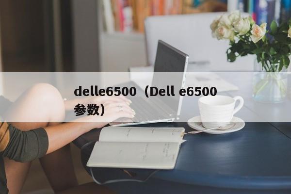 delle6500（Dell e6500参数）