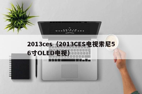 2013ces（2013CES电视索尼56寸OLED电视）