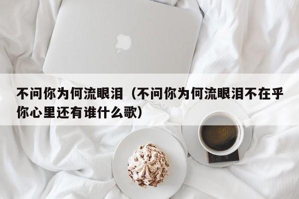 不问你为何流眼泪（不问你为何流眼泪不在乎你心里还有谁什么歌）