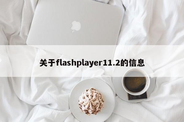 关于flashplayer11.2的信息