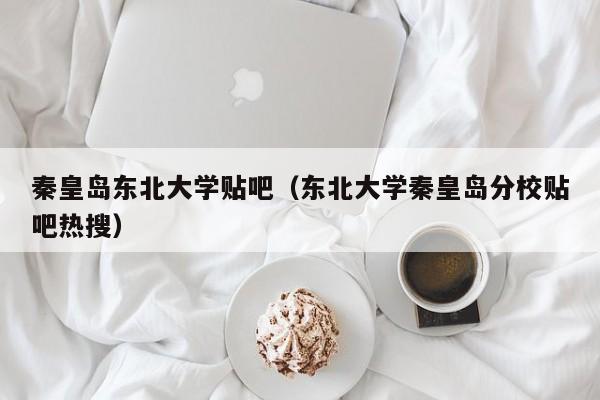 秦皇岛东北大学贴吧（东北大学秦皇岛分校贴吧热搜）