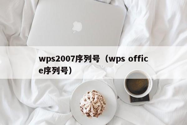 wps2007序列号（wps office序列号）