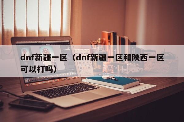 dnf新疆一区（dnf新疆一区和陕西一区可以打吗）