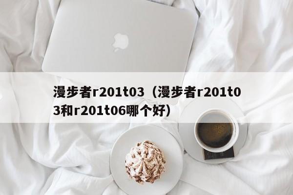 漫步者r201t03（漫步者r201t03和r201t06哪个好）