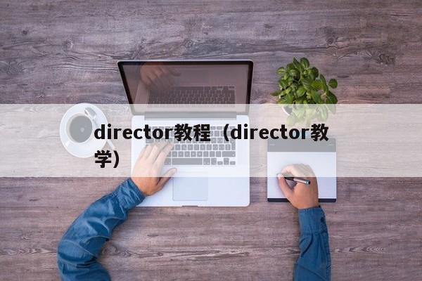 director教程（director教学）