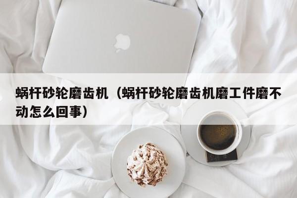 蜗杆砂轮磨齿机（蜗杆砂轮磨齿机磨工件磨不动怎么回事）