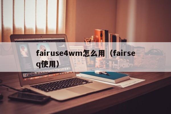 fairuse4wm怎么用（fairseq使用）