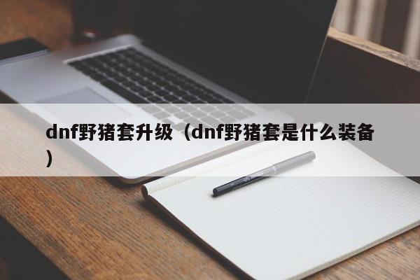 dnf野猪套升级（dnf野猪套是什么装备）