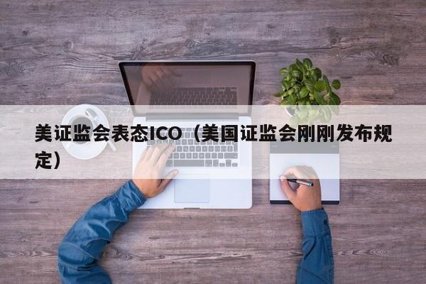 美证监会表态ICO（美国证监会刚刚发布规定）