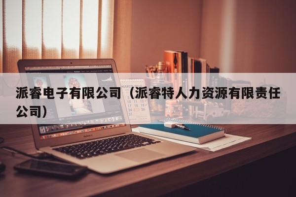 派睿电子有限公司（派睿特人力资源有限责任公司）