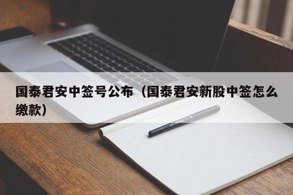 国泰君安中签号公布（国泰君安新股中签怎么缴款）