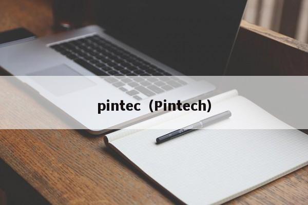 pintec（Pintech）