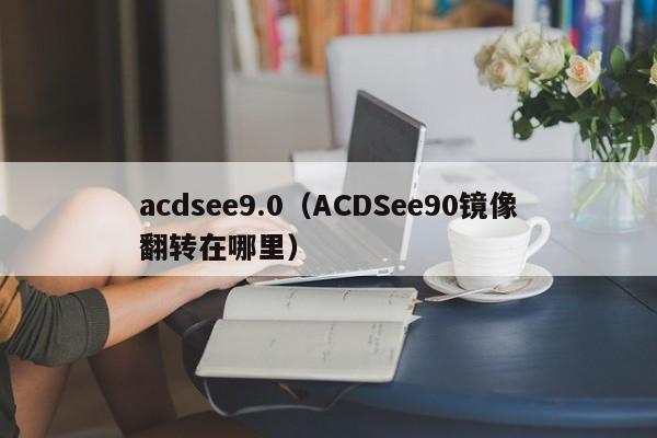 acdsee9.0（ACDSee90镜像翻转在哪里）