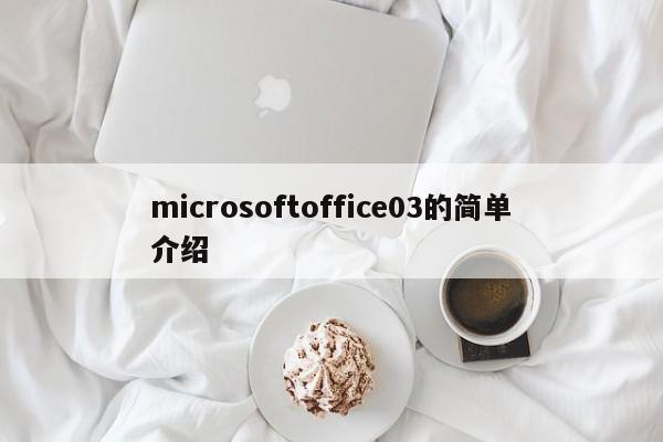 microsoftoffice03的简单介绍