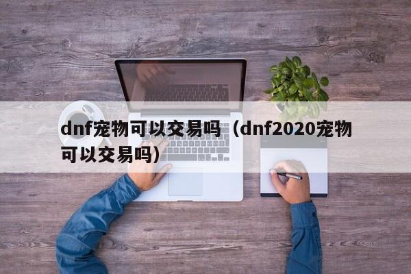 dnf宠物可以交易吗（dnf2020宠物可以交易吗）