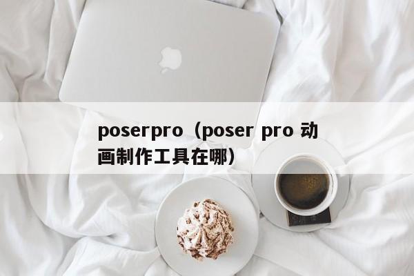 poserpro（poser pro 动画制作工具在哪）