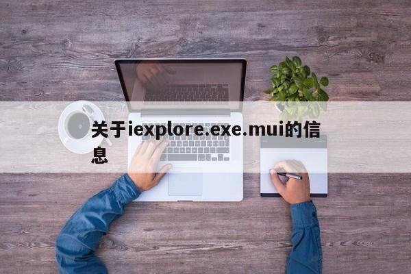 关于iexplore.exe.mui的信息