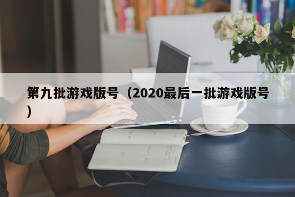 第九批游戏版号（2020最后一批游戏版号）