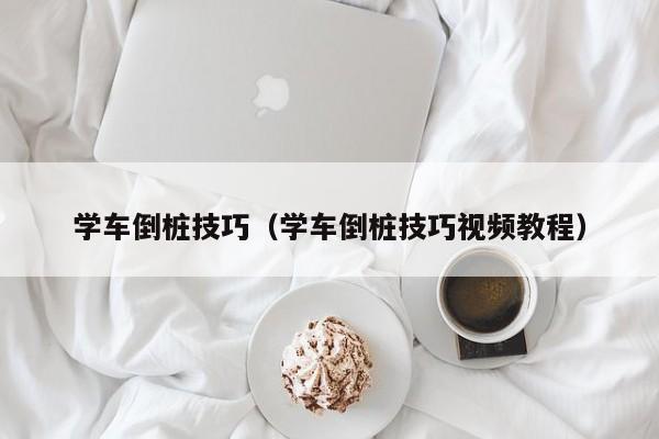 学车倒桩技巧（学车倒桩技巧视频教程）