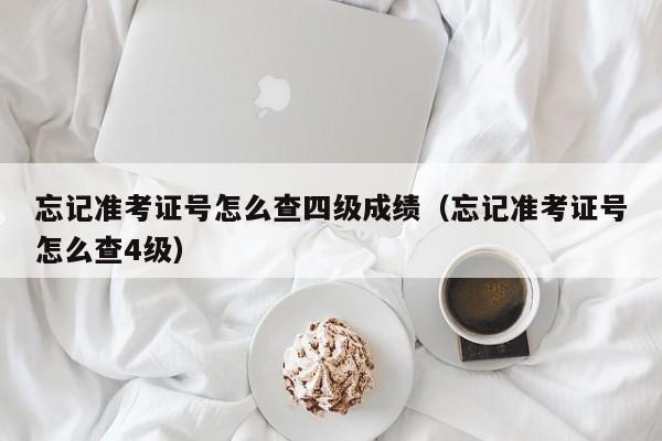 忘记准考证号怎么查四级成绩（忘记准考证号怎么查4级）