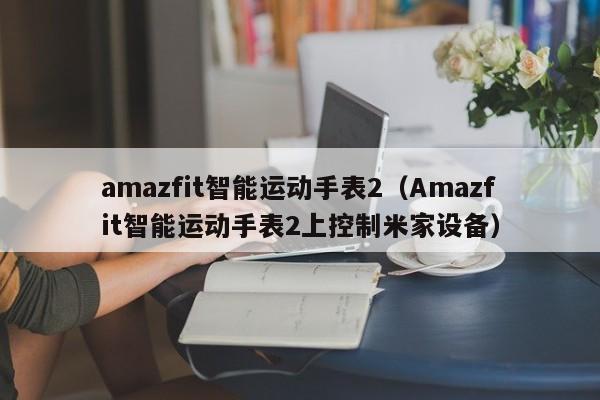 amazfit智能运动手表2（Amazfit智能运动手表2上控制米家设备）