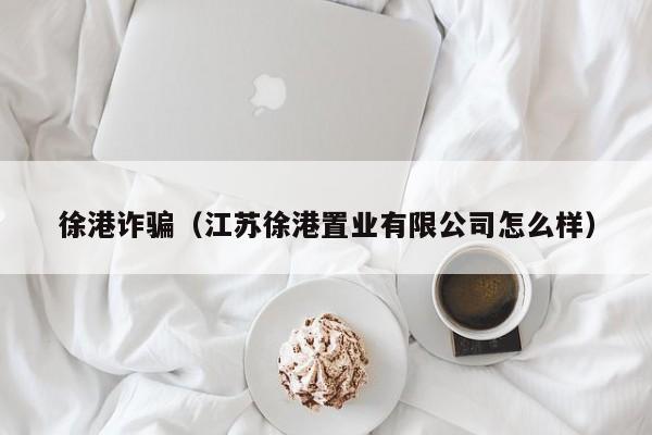 徐港诈骗（江苏徐港置业有限公司怎么样）