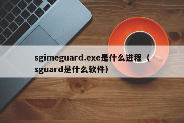 sgimeguard.exe是什么进程（sguard是什么软件）