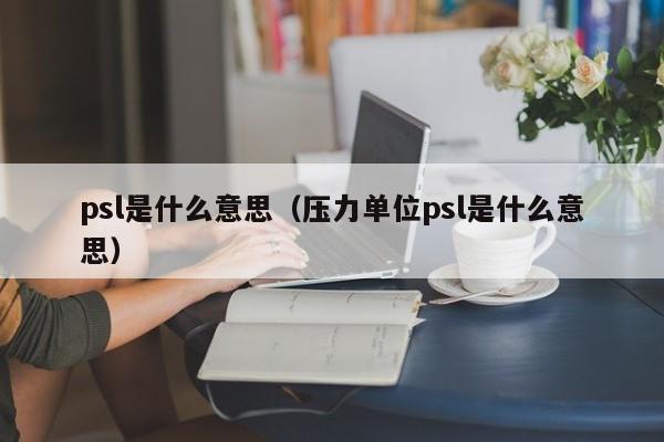 psl是什么意思（压力单位psl是什么意思）