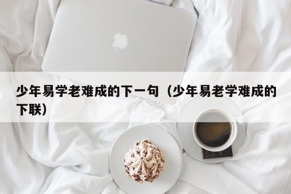 少年易学老难成的下一句（少年易老学难成的下联）