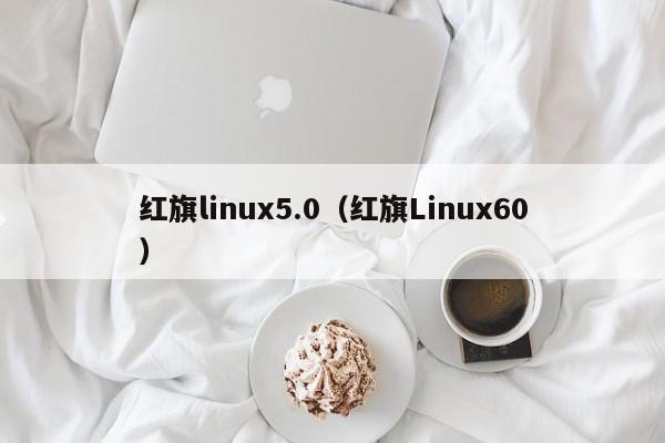 红旗linux5.0（红旗Linux60）