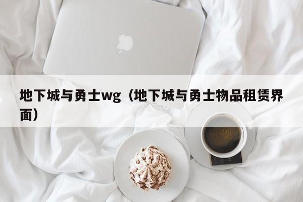 地下城与勇士wg（地下城与勇士物品租赁界面）