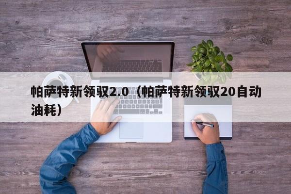 帕萨特新领驭2.0（帕萨特新领驭20自动油耗）