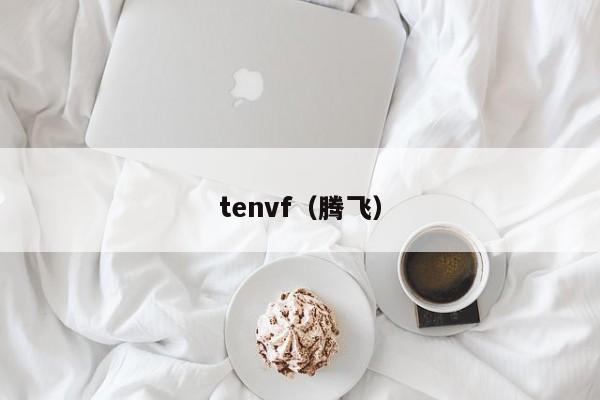 tenvf（腾飞）