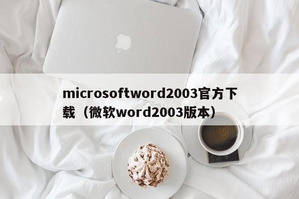 microsoftword2003官方下载（微软word2003版本）