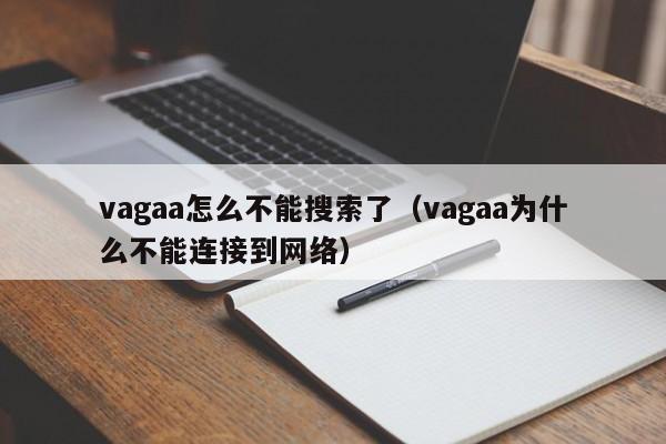 vagaa怎么不能搜索了（vagaa为什么不能连接到网络）