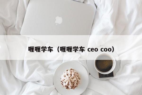 喱喱学车（喱喱学车 ceo coo）