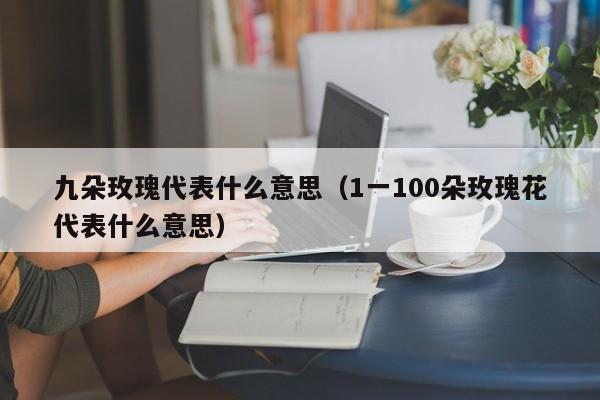 九朵玫瑰代表什么意思（1一100朵玫瑰花代表什么意思）