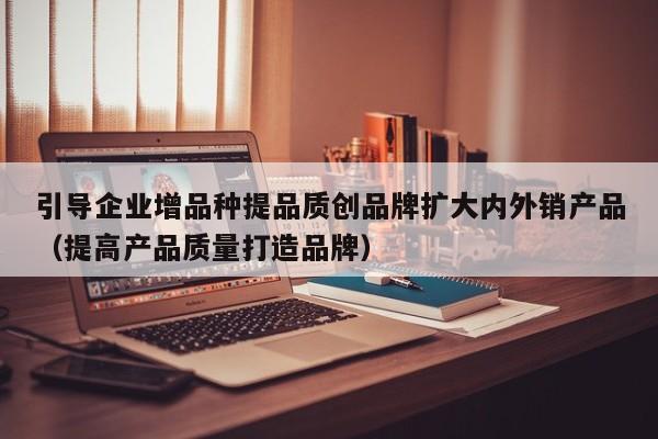 引导企业增品种提品质创品牌扩大内外销产品（提高产品质量打造品牌）