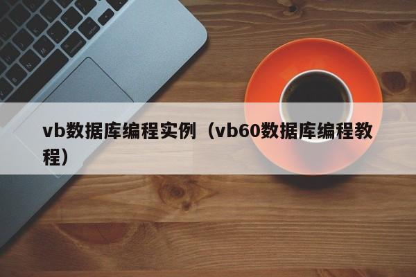 vb数据库编程实例（vb60数据库编程教程）