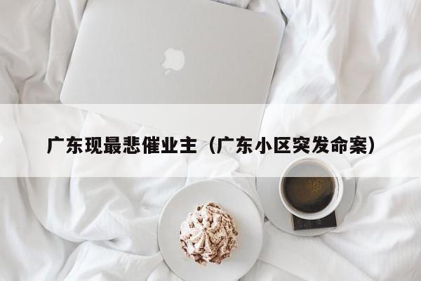 广东现最悲催业主（广东小区突发命案）