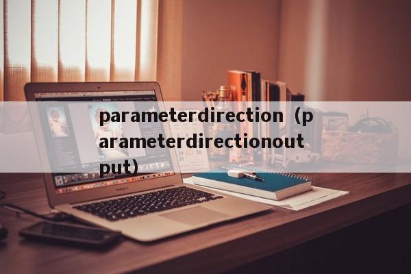 parameterdirection（parameterdirectionoutput）