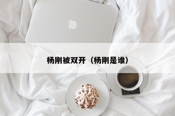 杨刚被双开（杨刚是谁）