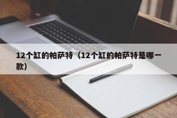 12个缸的帕萨特（12个缸的帕萨特是哪一款）