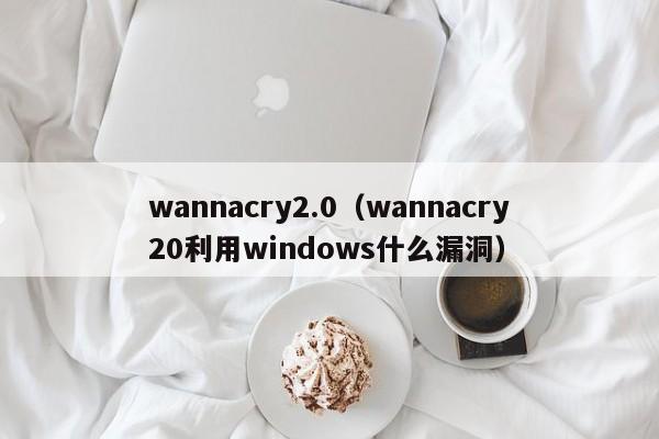 wannacry2.0（wannacry20利用windows什么漏洞）