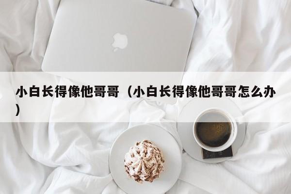 小白长得像他哥哥（小白长得像他哥哥怎么办）