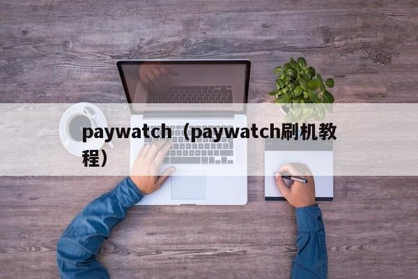 paywatch（paywatch刷机教程）