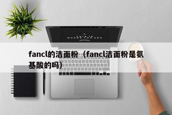 fancl的洁面粉（fancl洁面粉是氨基酸的吗）